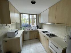 The Jade (D23), Condominium #622663361